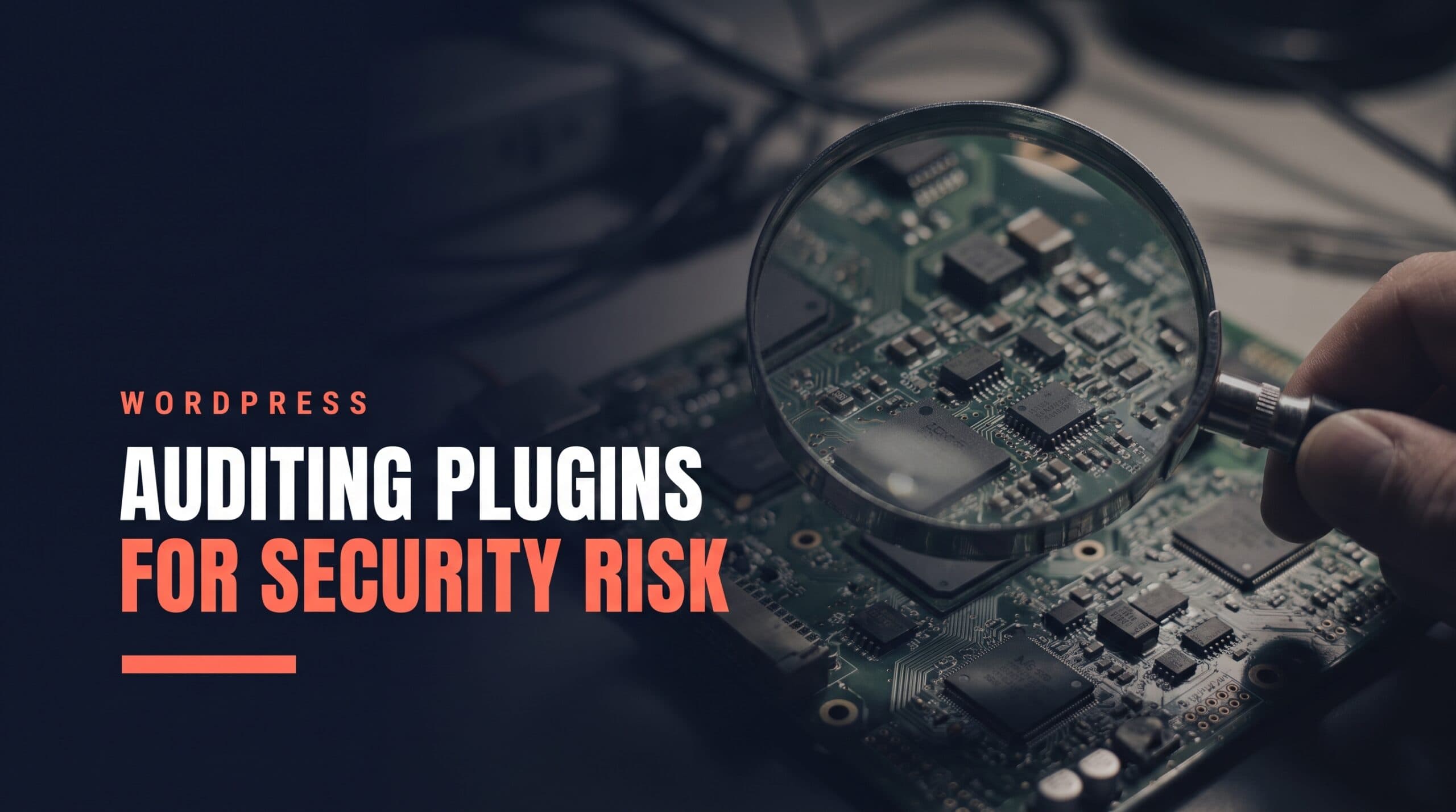 Auditing WordPress Plugins for Security Risk