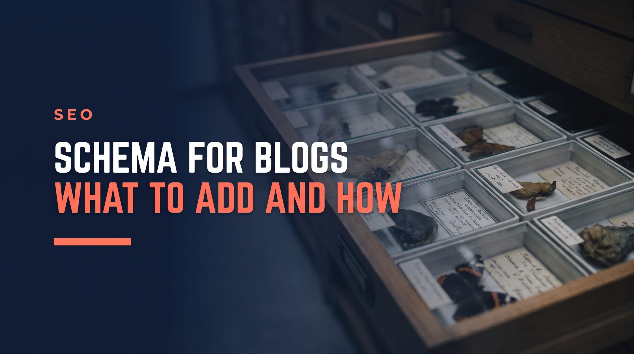 Schema Markup for Blogs: What to Add and How